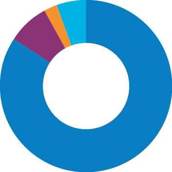 Pie chart of Audit outcomes